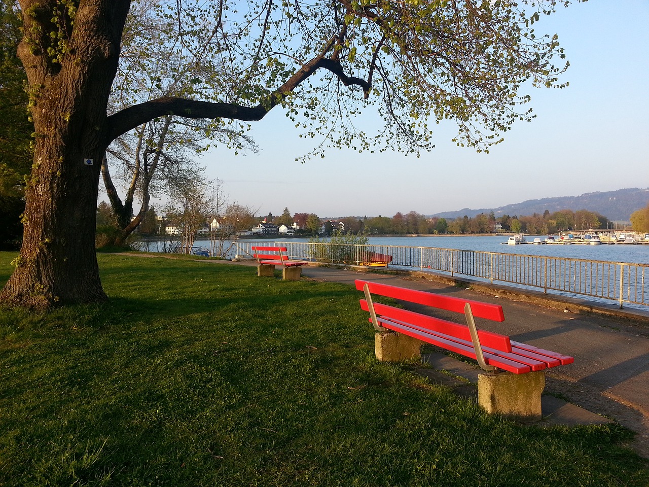 丰塞卡：谢尔基需改善防守态度，以适应曼城的战术纪律