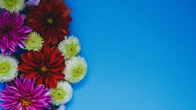 不同位置球员的核心能力