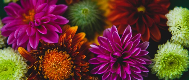 寻自己的梦 寻自己的梦