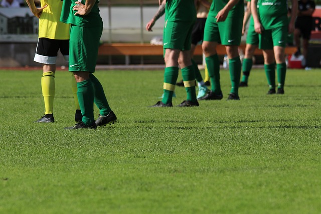 与伦比的实 与伦比的实