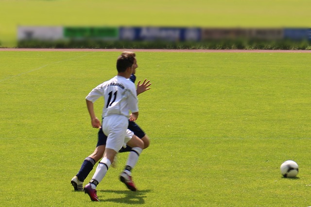 对他的培养 对他的培养