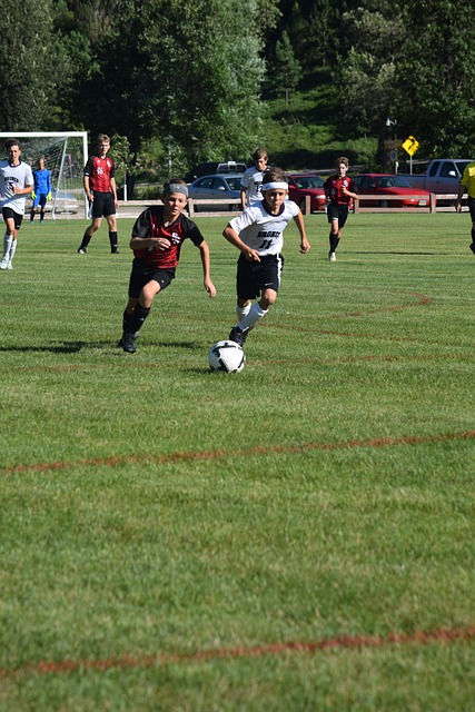 的崛起与传 的崛起与传